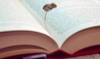 模样的拼音怎么读（牛似的模样的拼音怎么读）