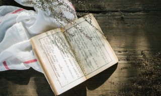 湮没怎么读 人踪湮没怎么读