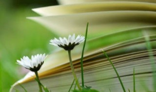 观多音字组词（观看的观多音字组词）