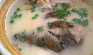 清炖鲫鱼汤怎么做（清炖鲫鱼汤怎么做好吃）