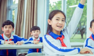 关于菊花的手抄报 关于菊花的手抄报图片大全资料