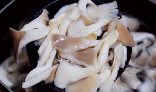 白汁鲜蘑的做法 蘑菇白汁的做法
