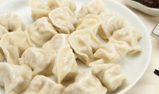 关于立冬吃饺子的说法（关于立冬吃饺子的说法正确的是）