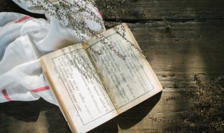 为客黄金尽还家白发新的意思