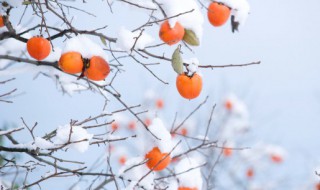 关于立冬的文言文（关于立冬的文言文名句）