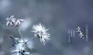 有关立冬节气的优美句子 有关立冬节气的优美句子简短