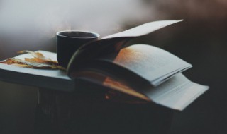 立的组词 立的组词一年级简单