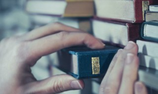 屡组词 履和屡组词