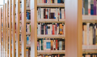 苤蓝怎么读 苤蓝怎么读音