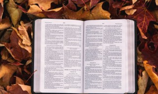 央的组词 央的组词怎么组