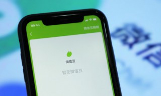 微信怎么关闭免密支付功能（苹果微信怎么关闭免密支付功能）