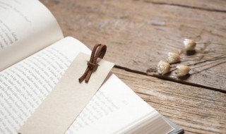 过江千尺浪入竹万竿斜的意思 过江千尺浪入竹万竿斜的意思是什么