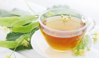 柠檬片最佳搭配(柠檬片最佳搭配是什么)