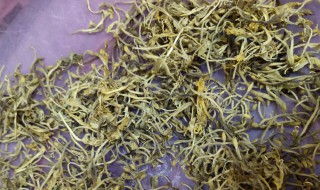 金银花洗脸的正确洗法(金银花洗脸方法)