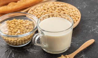 养生豆浆怎么做（养生豆浆怎么做的）