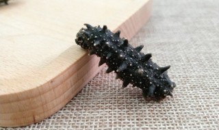 家常海参怎么做好吃 家常海参怎么做好吃又营养