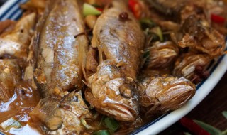 红烧黄花鱼怎么做好吃（如何做红烧黄花鱼好吃）