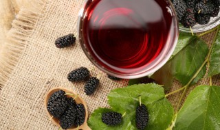 桑葚做成果酱能保存多少时间（桑葚酱能保存多久）