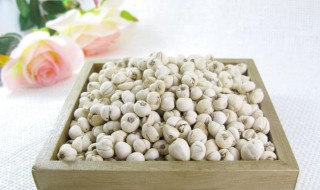 尖贝的功效与作用 尖贝的功效与作用与禁忌