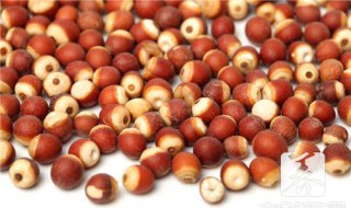 麸炒芡实的功效与作用 麸炒芡实的功效与作用的功能与主治