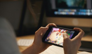 梦想新大陆怎么捕捉宠物（梦想新大陆怎么捕捉宠物攻略）