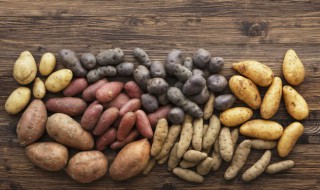 怪味小土豆怎么做（怪味小土豆的做法大全）