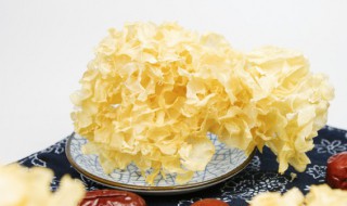 炖百合银耳怎么做（炖百合银耳怎么做才好吃）