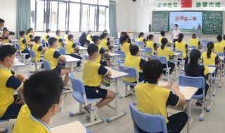 老臣病足曾不能疾走翻译（老臣病足曾不能疾走的疾什么意思）