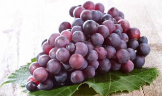巨峰葡萄有酒味还能吃吗（巨峰葡萄吃起来有酒味）
