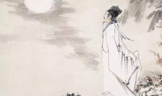 苏轼诗的特点和风格有哪些（苏轼的诗有什么风格特点）