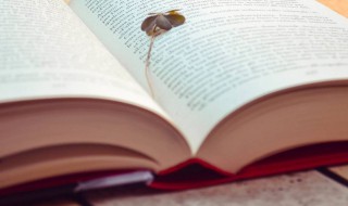 逢人说项是什么意思（逢人就说是什么意思）