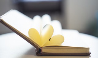 柴字组词 柴字组词二年级上册