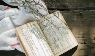 楞伽山人是指哪位诗人 楞伽山人是指哪位诗人写的