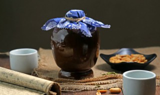 醉翁之意不在酒的之是什么意思 醉翁之意不在酒 之的意思