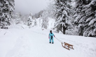 为什么很多人不清理车上雪 车上雪怎么能尽快清扫干净