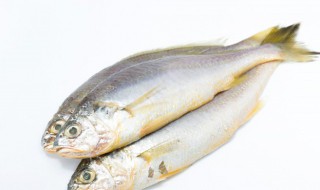 如何腌制鱼的方法（如何腌制鱼?）