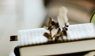 卧龙凤雏指谁（卧龙凤雏各指的是谁）