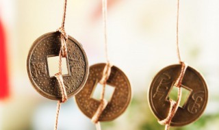 现代五子登科是哪五子(现代五子登科是哪五子官场)