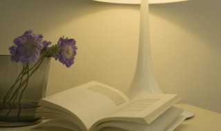 饶恕的近义词是什么（饶恕的近义词是什么词）