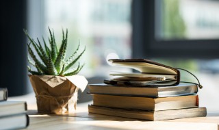 书籍的名言名句 书籍的名言名句经典摘抄大全