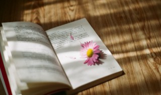 苏格拉底名言名句大全（苏格拉底名言名句大全认识自己）