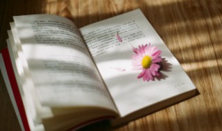 催促的近义词是什么（催促的近义词是什么 标准答案）