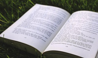 论文降重是什么意思 论文降重有什么用