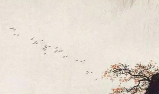 蝉鸣林愈静鸟鸣山更幽的意思（蝉鸣林更静,鸟鸣山更幽）