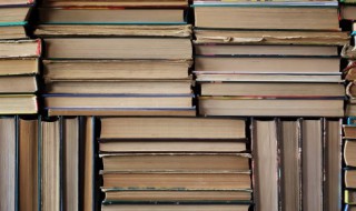 以诚待人者人亦诚而应的意思(以诚待人人亦以诚待之)