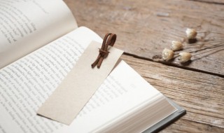 六艺指的是什么书（六艺指的是什么书数六种技能）