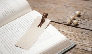 配给是什么意思（要配是什么意思）