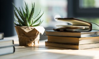 今文尚书是什么意思（尚书的今文是什么）