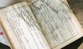 塑造人物形象的方法（塑造人物形象的方法答题模板）