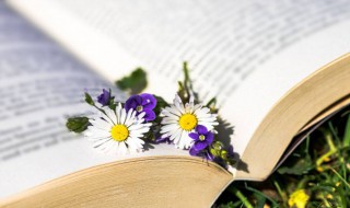 炙烤是什么意思 炙烤着大地的炙烤是什么意思